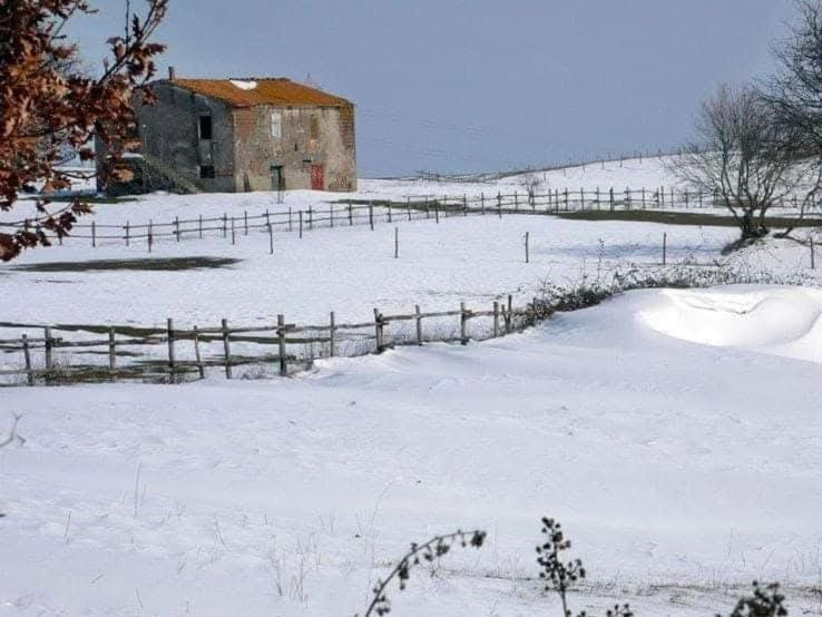 מלון סוטרי Agriturismo Casale Lisalola מראה חיצוני תמונה